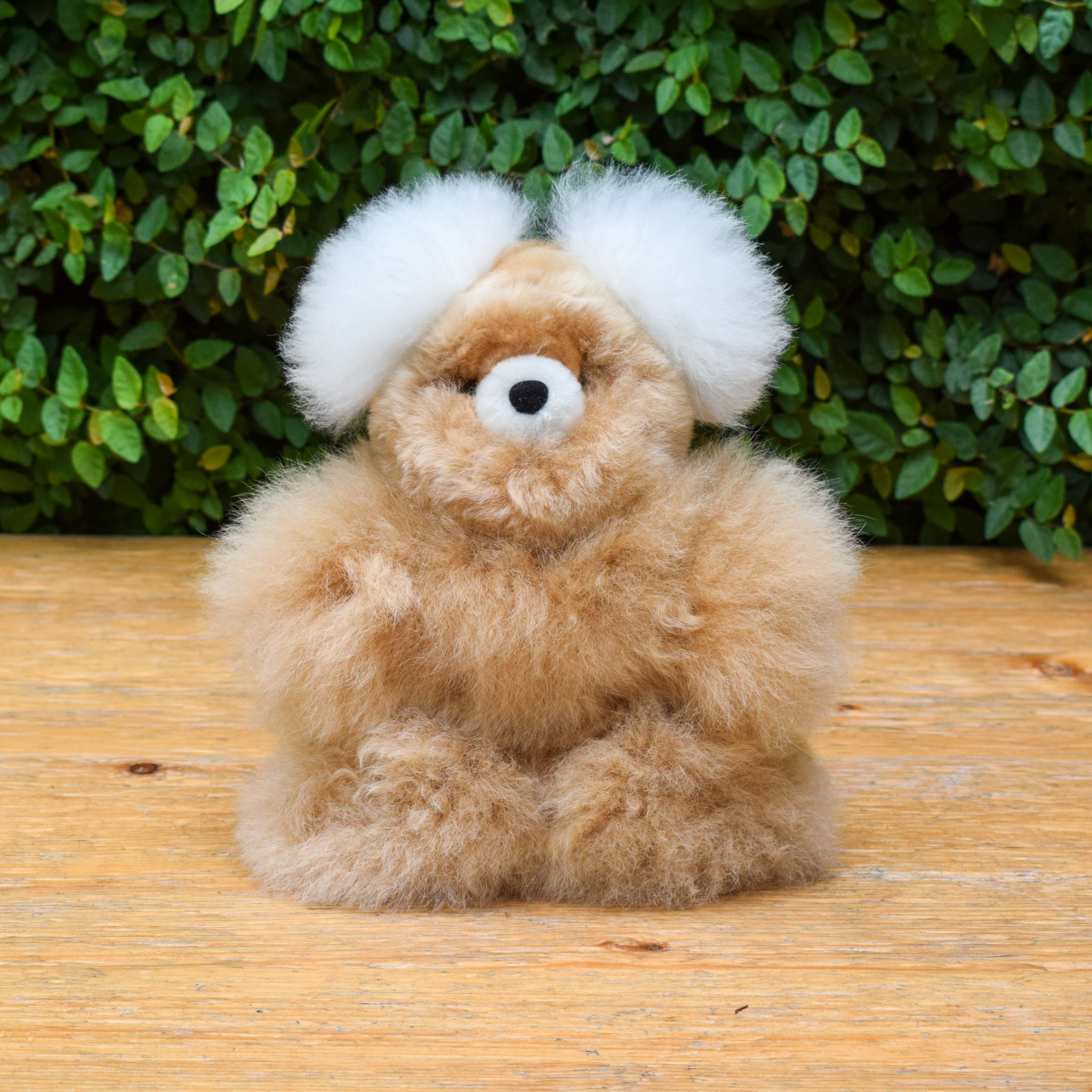 small bear stuffed animal