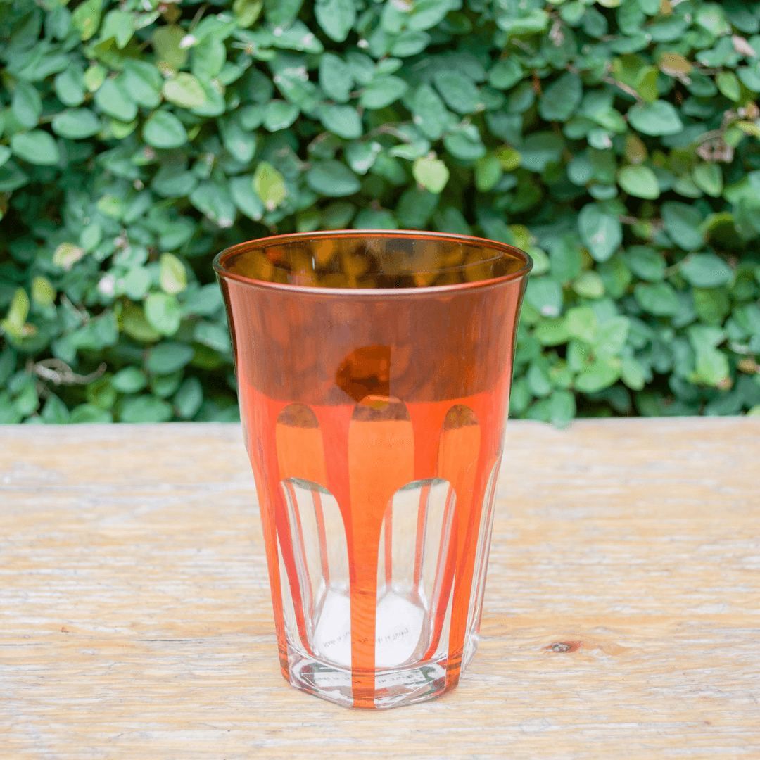 Rialto Glass Tumbler Set/2, Salmon - SIR/MADAM