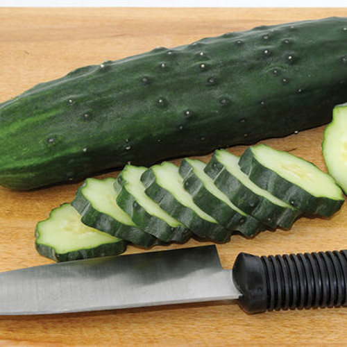Slicing Cucumbers (Marketmore 76 OG)
