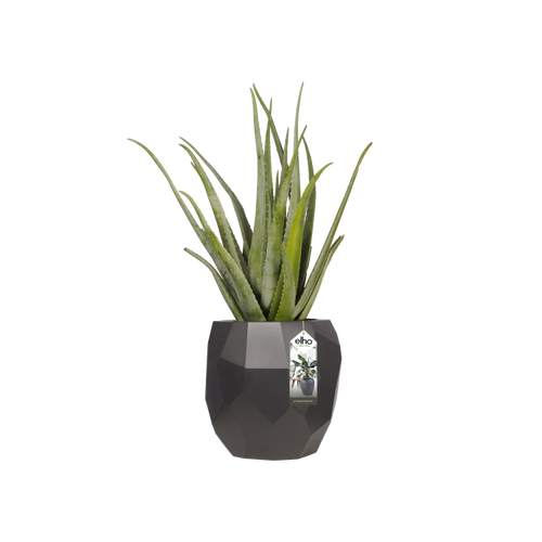 pure edge 40 - ANTHRACITE