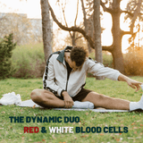 How Red Blood Cells and White Blood Cells Keep Us Thriving