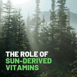 The Vital Role of Sun-Derived Vitamins in Recovery