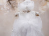 Piccolo Bacio - Couture Christening Gown - Victoria - Shantung