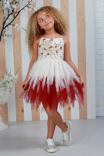 Ooh! La La! Couture - Feather Tulle Dress Ivory and Berry - SW-98