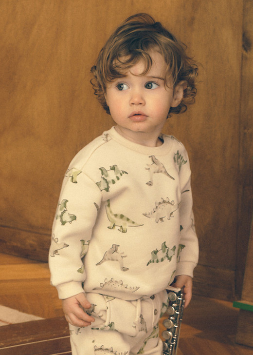 Mayoral Boy Patterned Pullover - Light Taupe (2416-95)