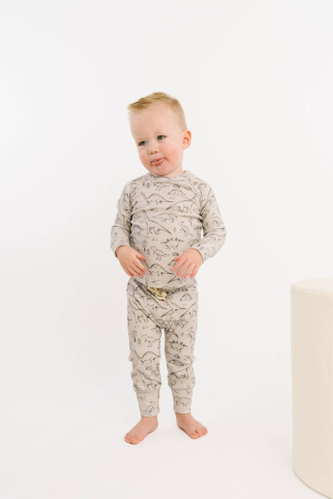 Dino Doodles Lounge Set