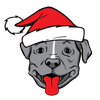 SANTA PAWS