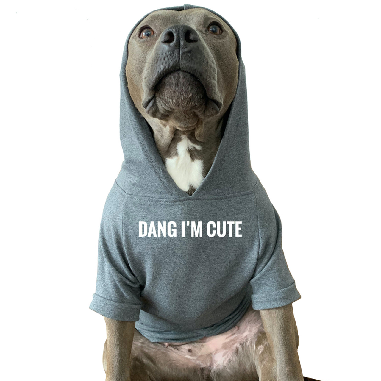 Dog sweatshirts clearance