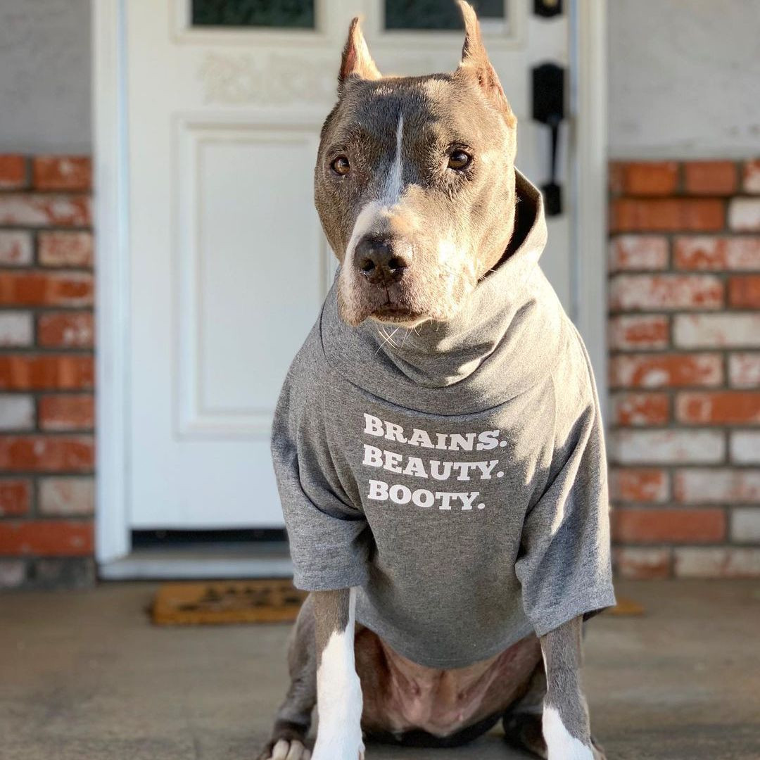 BRAINS. BEAUTY. BOOTY. Dog Cowl Tee - Funny Dog Tees
