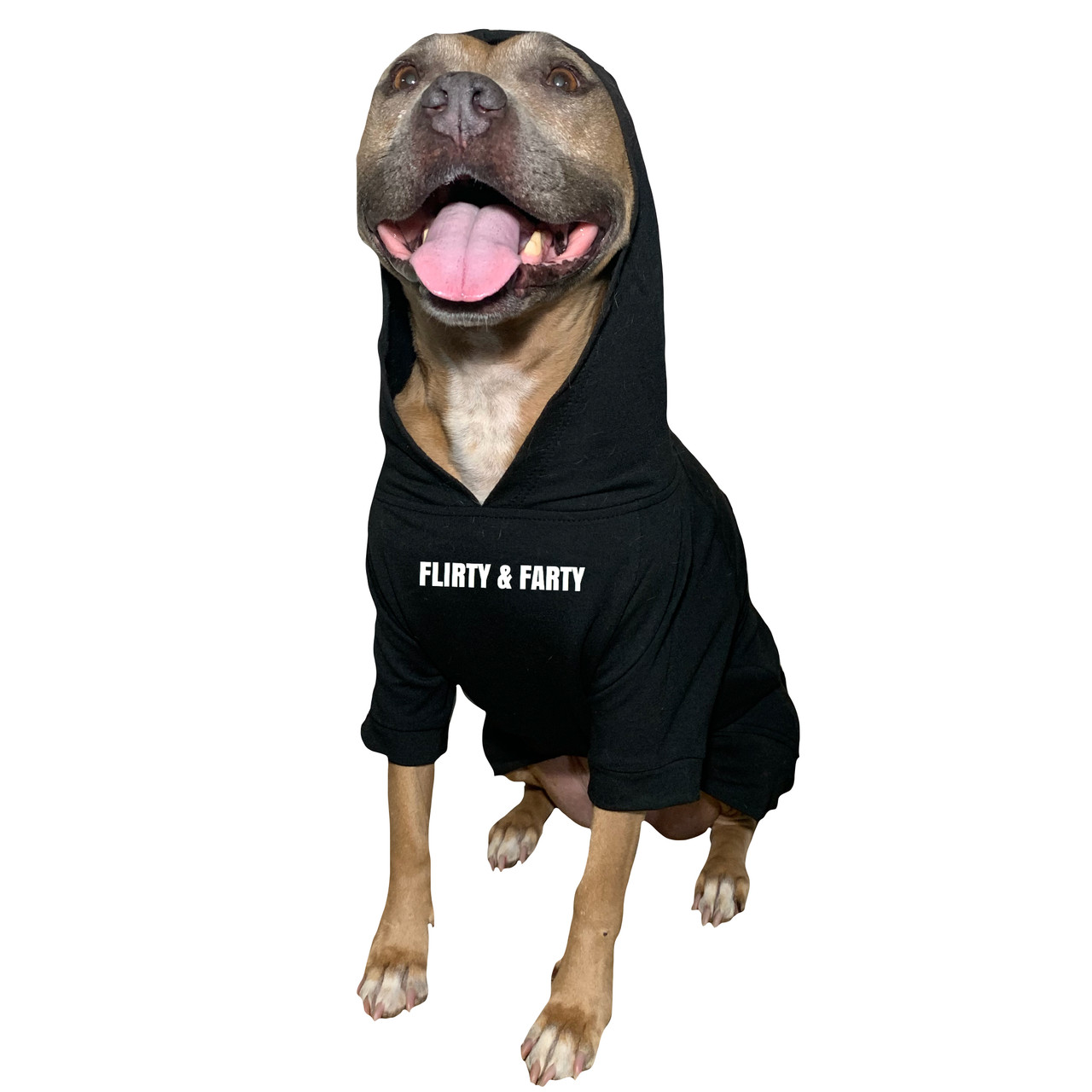 FLIRTY & FARTY Dog Pullover Hoody - Urban Suburban Apparel