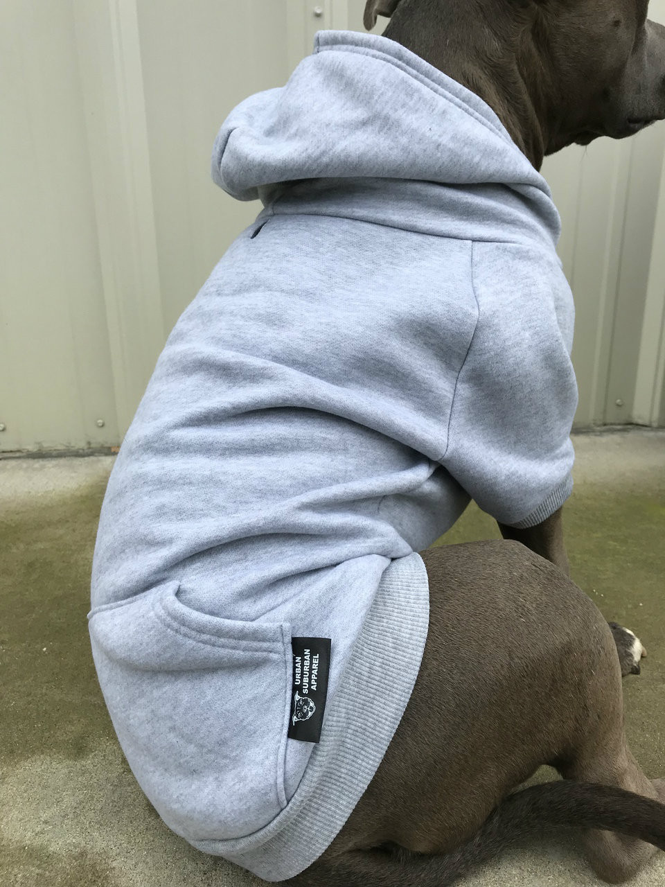Bully dog clothes Clearance