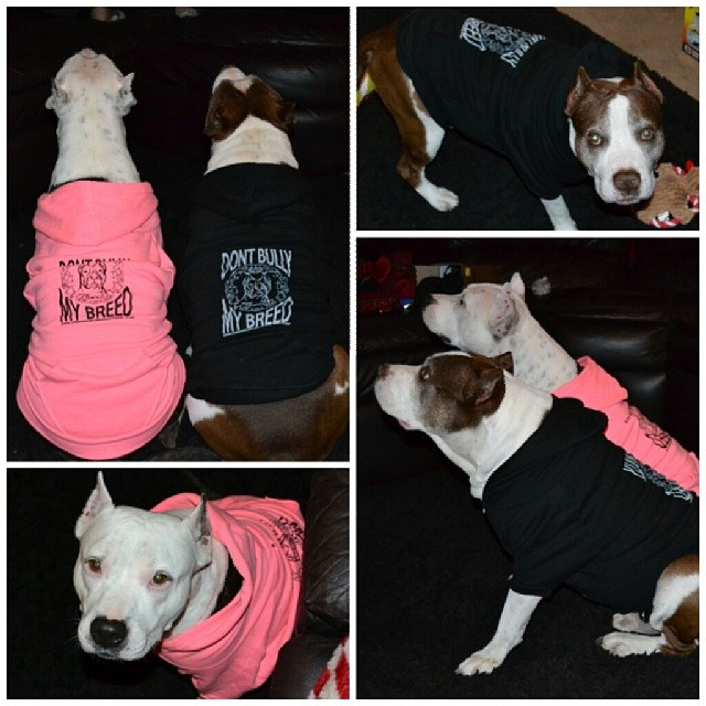 DON'T BULLY MY BREED Dog Zip-Up Hoody 