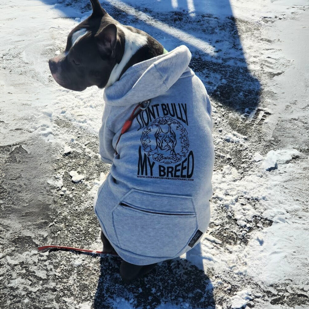Pocket Bully Clothing American Bully Sweater DON'T BULLY MY BREED