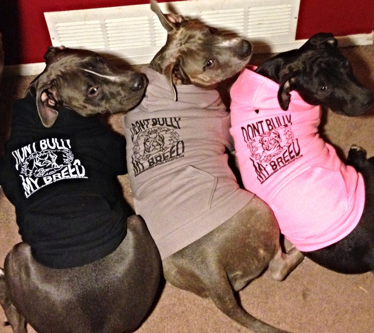 bully breed clothing for dogs