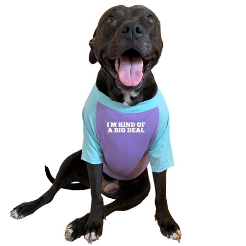 I'M KIND OF A BIG DEAL Dog Raglan