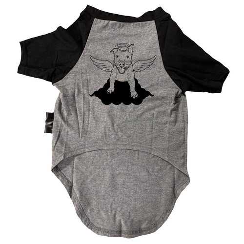 INDY FOREVER Gray & Black Dog Raglan