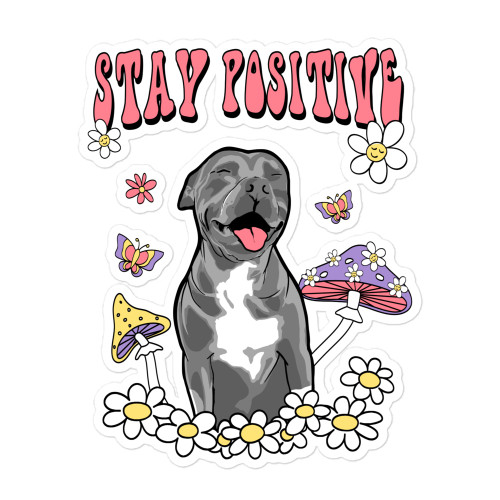 STAY POSITIVE Bubble-free stickers