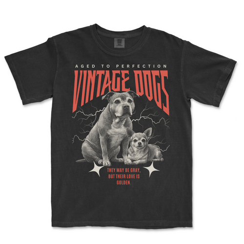 A flat graphic tee from our shop 