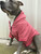 DON'T BULLY MY BREED (Roses) Fleece Dog Zip-Up Hoody