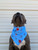 SUMMER Bandana