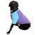 I'M KIND OF A BIG DEAL Dog Raglan