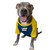 LAND SEAL Dog Raglan