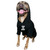 BOOP THE SNOOT Dog Pullover Hoodie
