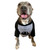 INDY FOREVER Gray & Black Dog Raglan