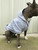 LOVER NOT A BITER Fleece Dog Zip-Up Hoodie