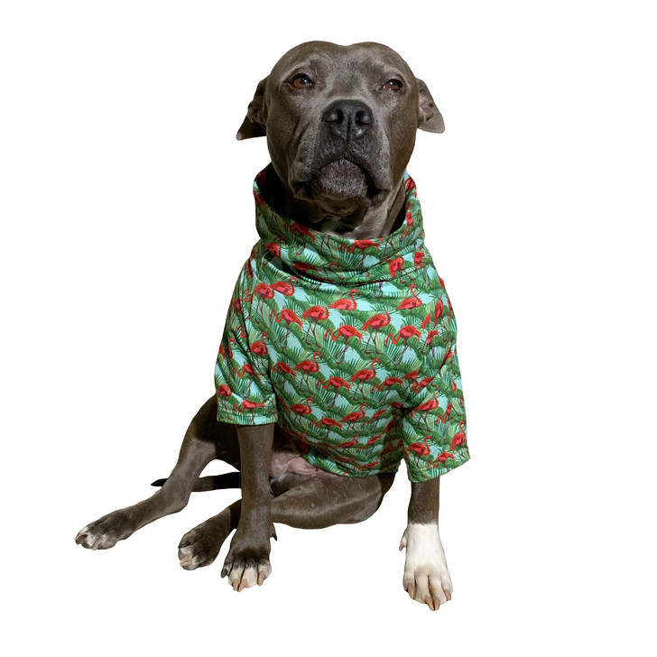 flamingo clothes review