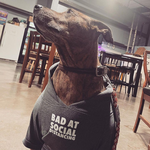 SLOWER パーカー BAD DOG Bone Crusher Hoodie – No Bad Dogs Official