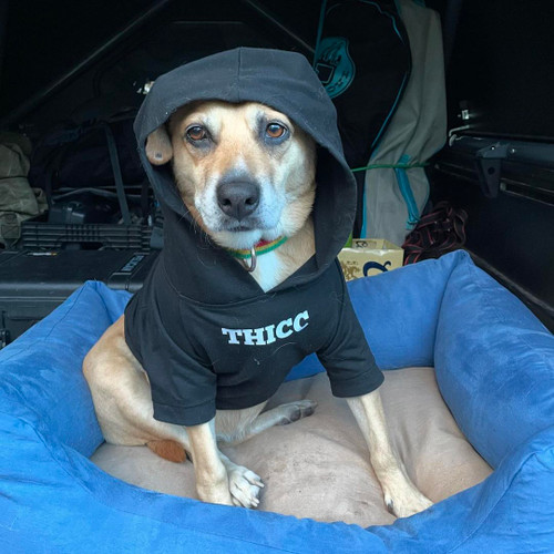 THICC Dog Pullover Hoody