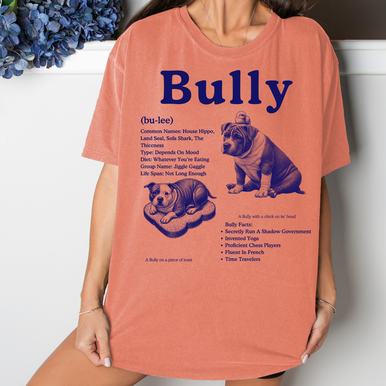 BULLY Vintage Terracotta Tee