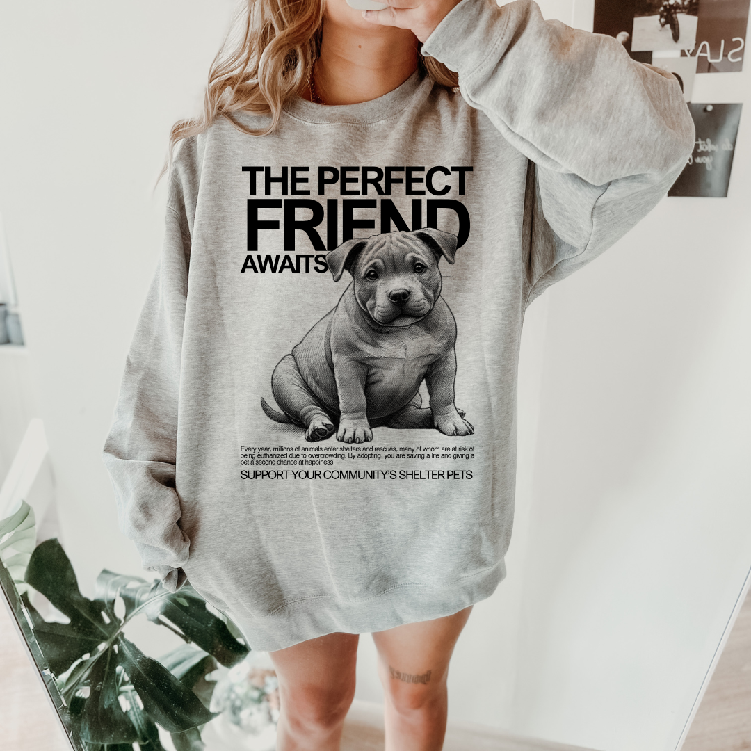 THE PERFECT FRIEND AWAITS Heather Sweater