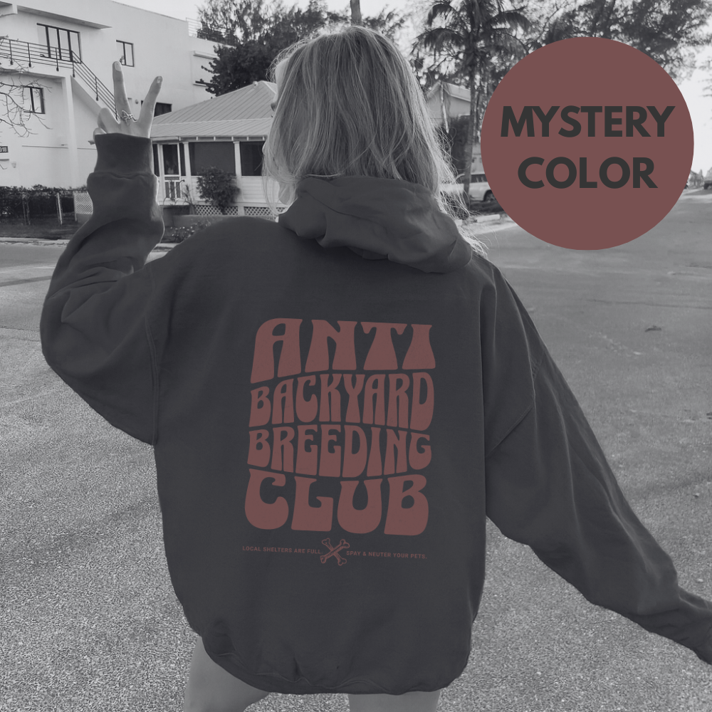 ANTI BYB CLUB Mystery Hoodie