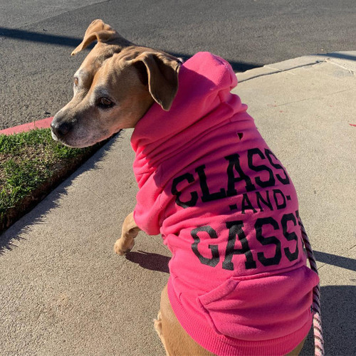CLASSY & GASSY Fleece Zip-Up Dog Hoodie Pet Apparel