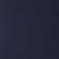 Navy Blue - C100 fabric swatch with dark blue tone