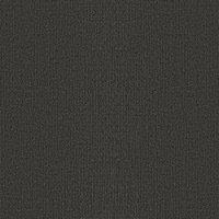 Heritage Granite - C109 fabric swatch with light black tone