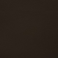 Stamskin Bison - U40 material swatch with dark brown tone