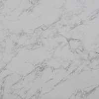 Carrara White - T61 laminate swatch with off-white and grey marbled pattern
