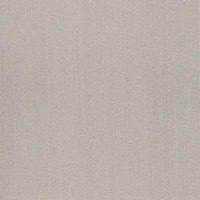 Silver Anodized SS finish swatch in light silver tone