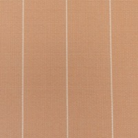 InsideOut Artesia Adobe 2772 Grade B Lloyd Flanders outdoor cushion fabric swatch