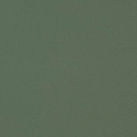 Bamboo - F95 metal finish swatch with soft green tone
