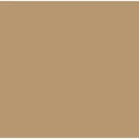 Biscuit - F102 metal finish swatch with golden tan tone
