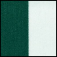 Green Stripe fabric swatch in dark green and white striped pattern