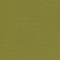 Pistachio fabric swatch in yellowish lime green tone