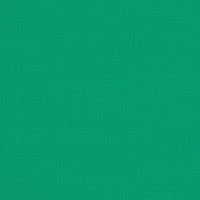 Sunbrella Marine-Grade Erin Green 4600 fabric swatch in vibrant medium green tone