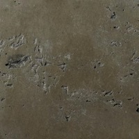 The Outdoor Plus Rustic Moss Stone GFRC concrete finish swatch