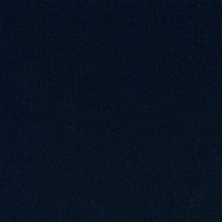 Navy Blue fabric swatch in a dark blue tone