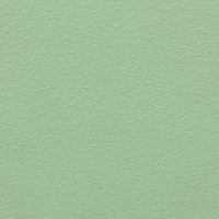 Pale Green - RAL 6021